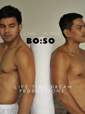 BO:SO Poster of BO:SO