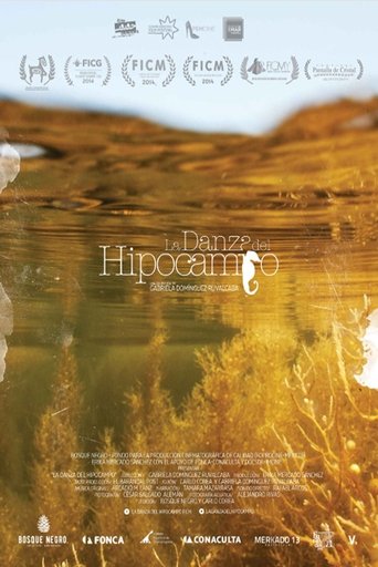 Poster of The Dance of Memory