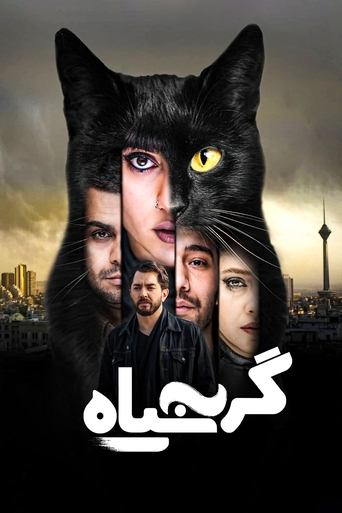 Poster of The Black Cat