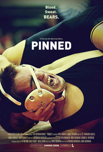 Poster of Pinned