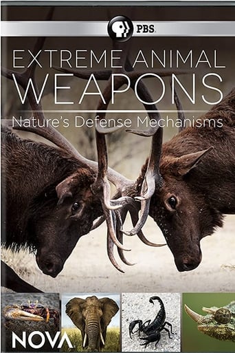 Poster of Extreme Animal Weapons