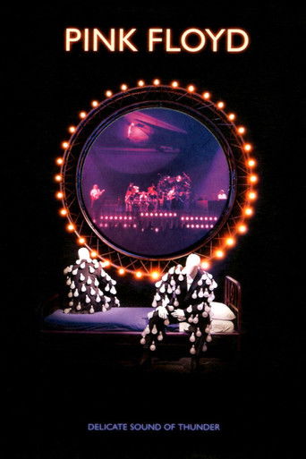 Poster of Pink Floyd: Delicate Sound of Thunder