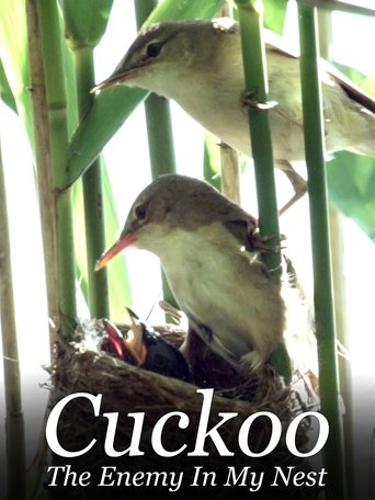 Poster of Cuckoo: The Enemy In My Nest