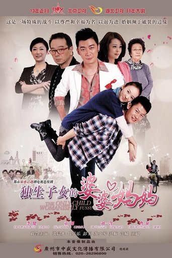 Poster of 独生子女的婆婆妈妈