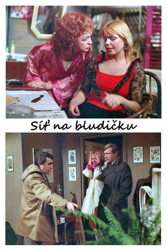 Poster of Síť na bludičku