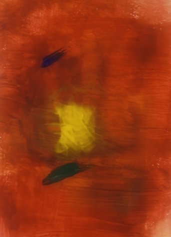 Poster of The sun and her flower