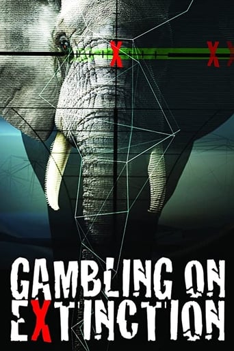 Poster of Gambling on Extinction