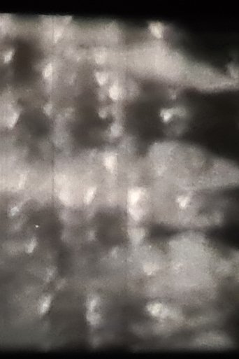 Poster of Nour