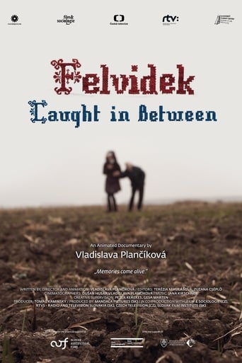 Poster of Felvidek – Caught in Between