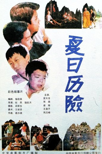 Poster of 夏日历险
