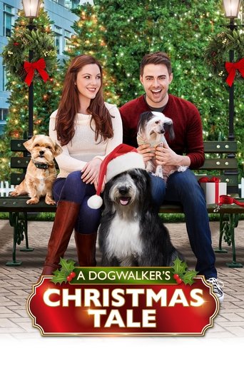 Poster of A Dogwalker's Christmas Tale