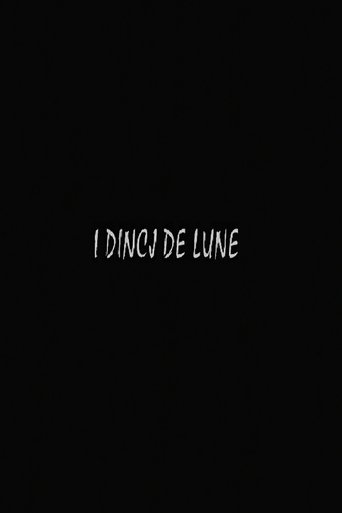 Poster of I dincj de lune