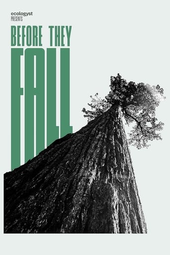 Poster of Before They Fall