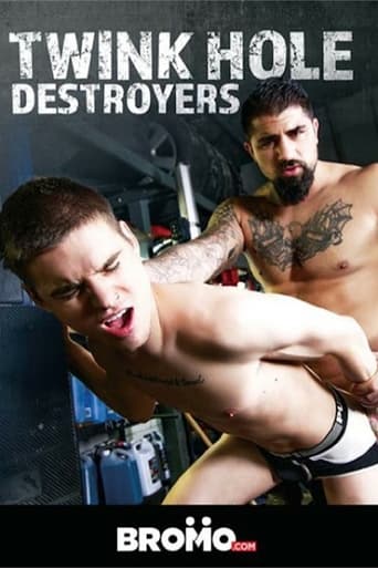 Poster of Twink Hole Destroyers