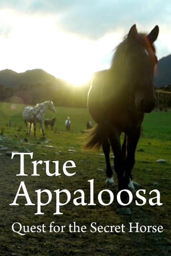 Poster of True Appaloosa