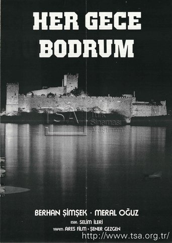 Poster of Her Gece Bodrum