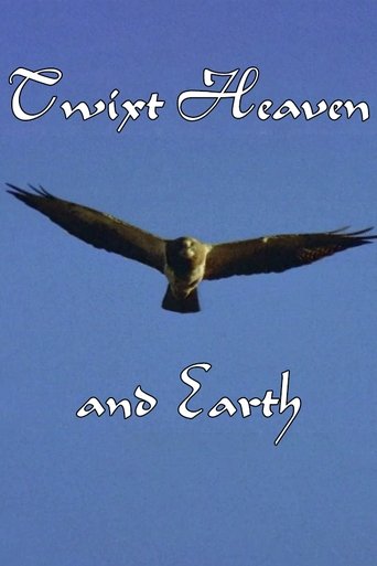 Poster of Twixt Heaven and Earth