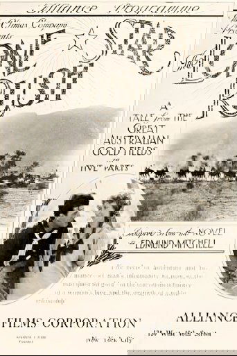 Poster of The Lone Star Rush