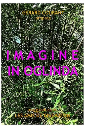 Poster of Imagine in oglinda