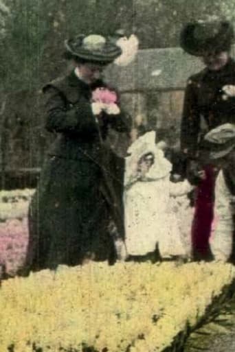 Poster of Flower Fields of Haarlem