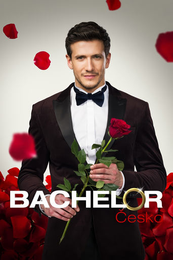 Poster of Bachelor Czech Republic