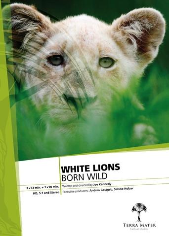 Poster of White Lions Born Wild