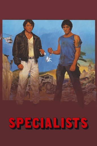 Poster of The Specialists