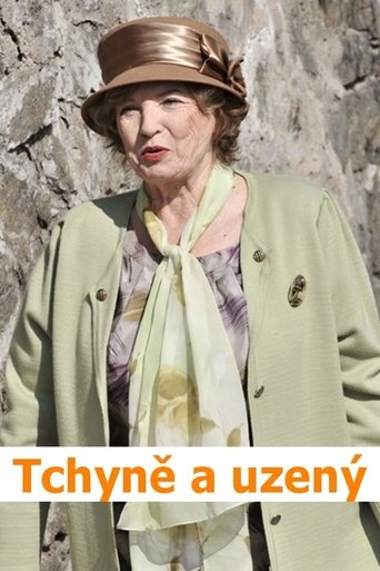 Poster of Tchyně a uzený