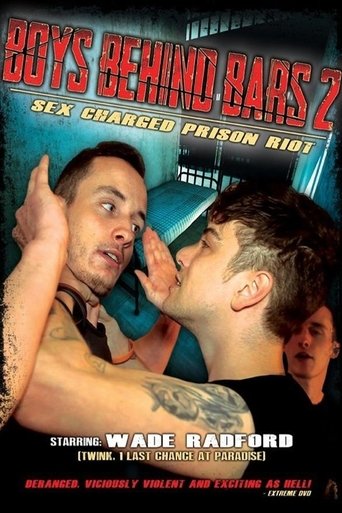 Poster of Boys Behind Bars 2