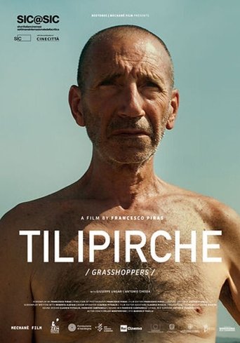 Poster of Grasshoppers