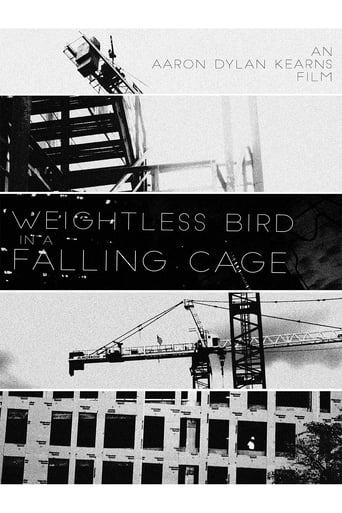 Poster of Weightless Bird In A Falling Cage