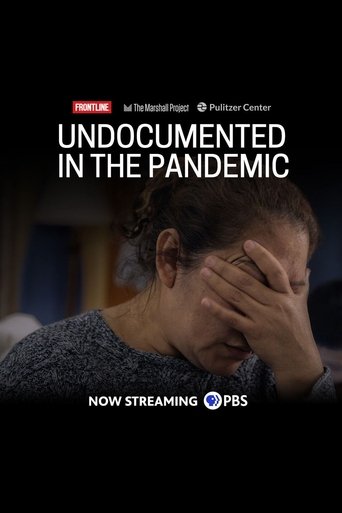 Poster of Undocumented in the Pandemic