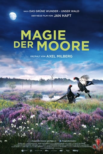 Poster of Magie der Moore