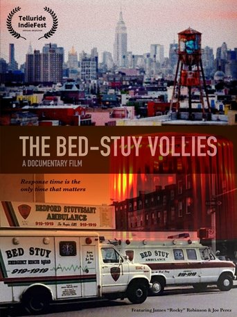 Poster of The Bed-Stuy Vollies