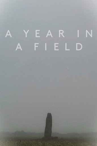 Poster of A Year in a Field