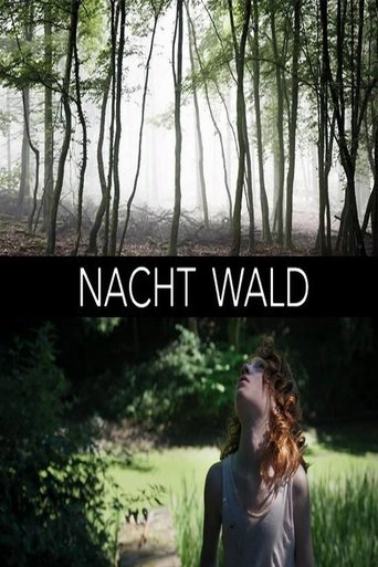 Poster of Nacht Wald