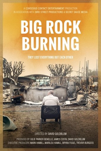Poster of Big Rock Burning