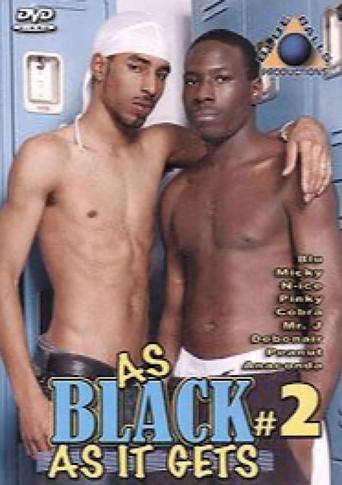 Poster of As Black as It Gets 2