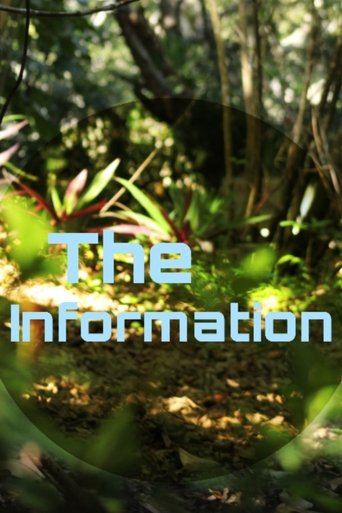 Poster of The Information