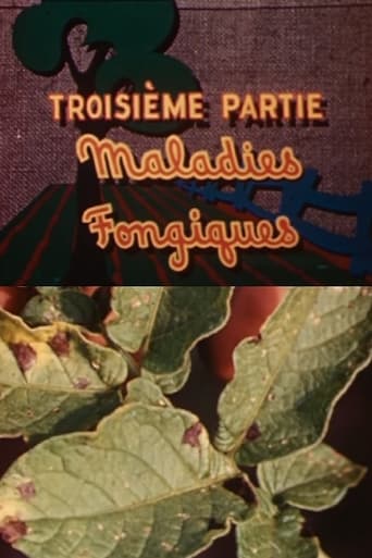 Poster of The Enemies of the Potato: Fungal Diseases