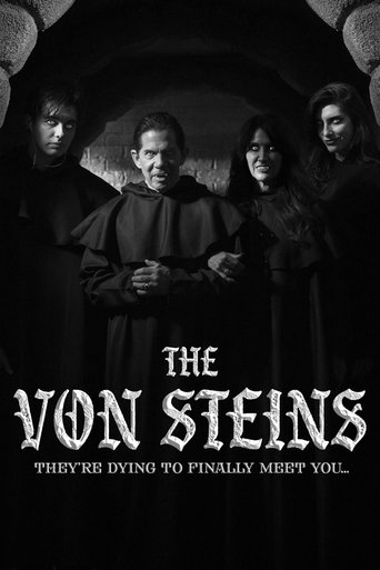 Poster of THE VON STEINS