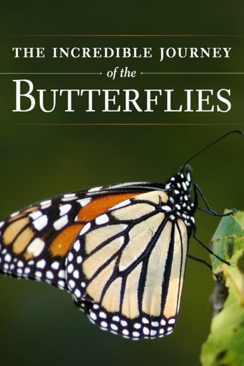 Poster of The Incredible Journey of the Butterflies