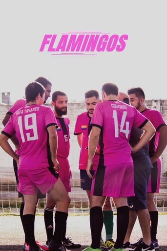 Poster of Flamingos