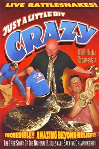 Poster of Just a Little Bit Crazy
