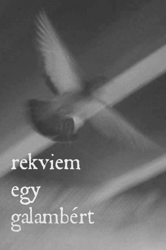 Poster of Rekviem egy galambért
