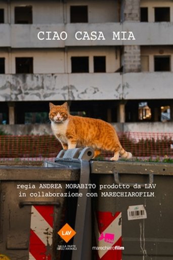 Poster of Ciao casa mia