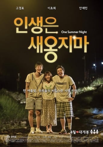 Poster of One Summer Night