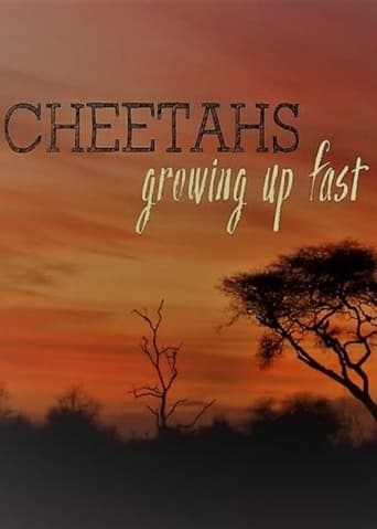 Poster of Cheetahs: Growing Up Fast