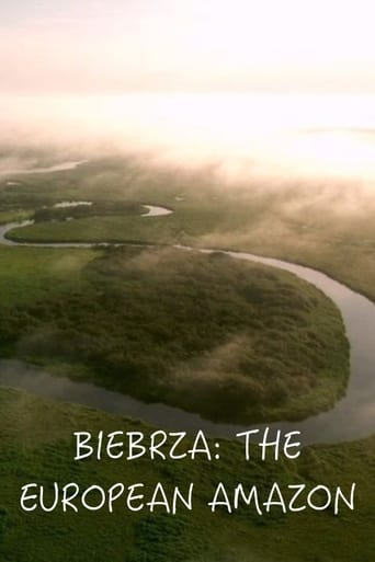 Poster of Biebrza: The European Amazon