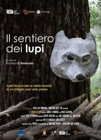 Poster of Il sentiero dei lupi